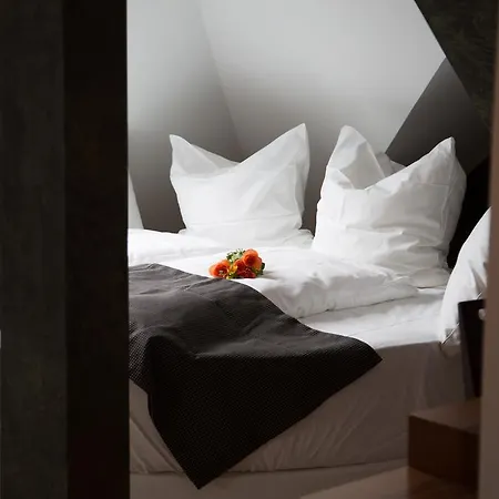 Hotel Alpha & Omega 3*