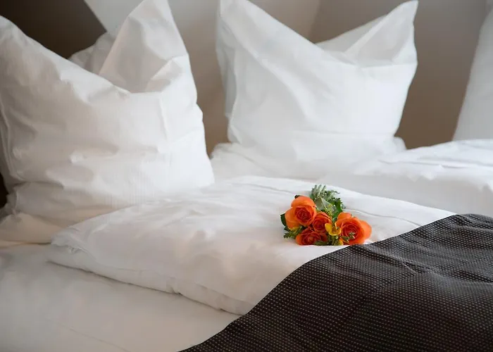 فندق Alpha & Omega 3*