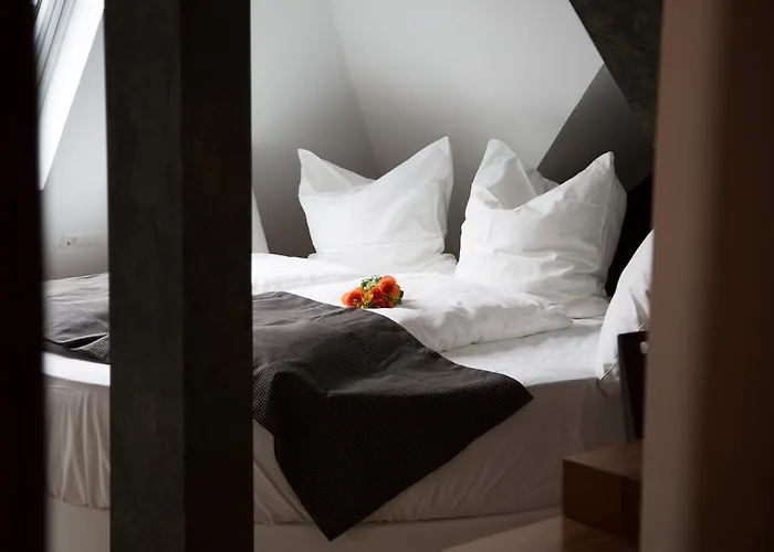 Hotel Alpha & Omega 3*