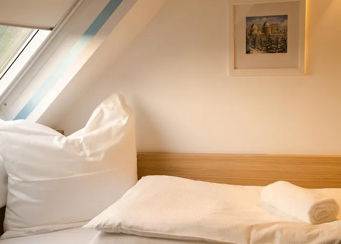 Alpha & Omega شتوتغارت