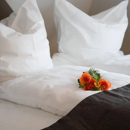 Hotel Alpha&omega - Airconditioned 3*